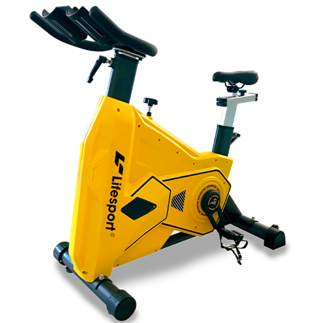Xe đạp tập Lifesport LS-5911